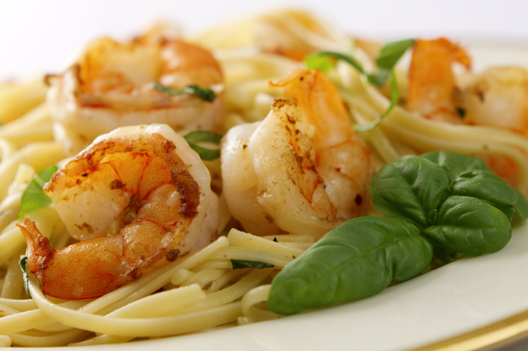 Balagio Restaurant Spinach Shrimp Pasta